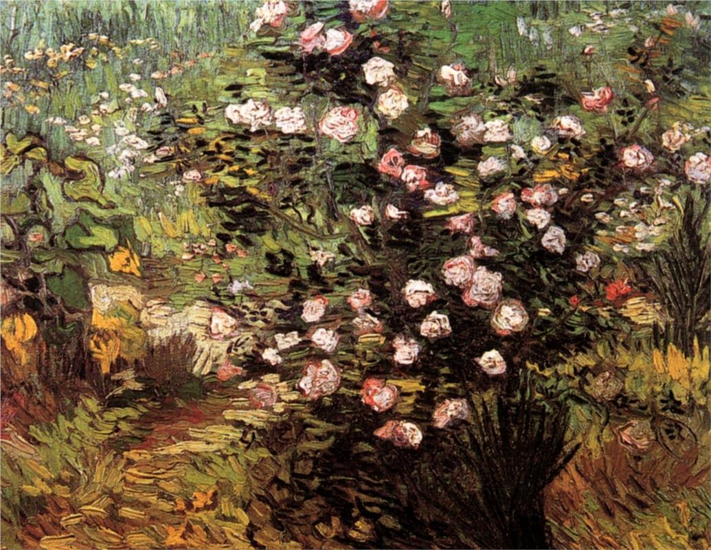 Rosebush in Blossom - Van Gogh Painting On Canvas